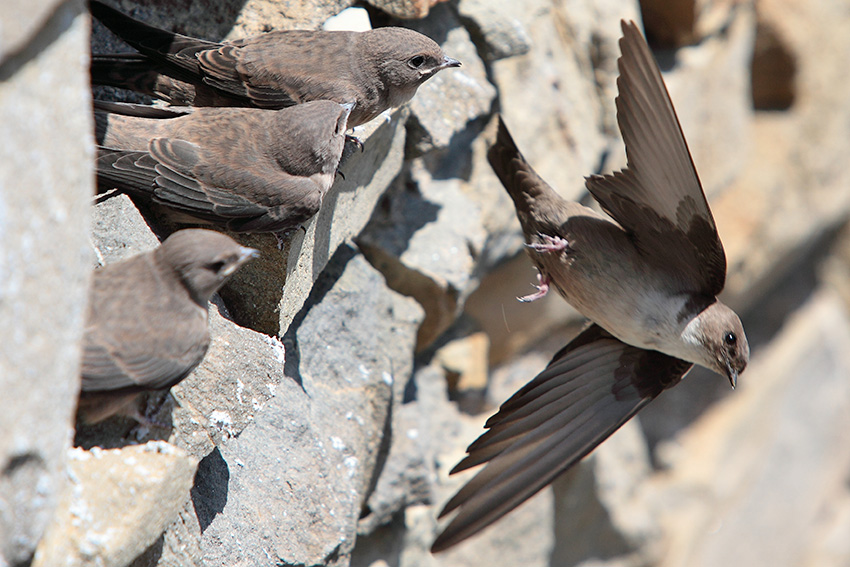 Uno a lui,uno te e uno a me